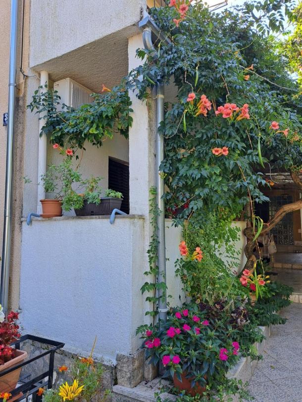 Accomodation Mirjana Poreč Exterior foto